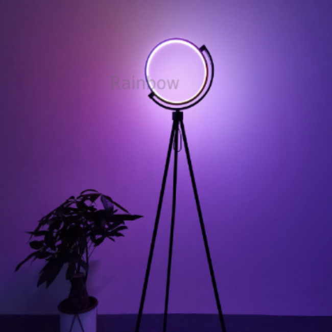 Design Award Italian Creative Floor Lamp Modern Minimalist