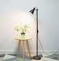 Modern Feather Floor Lamp