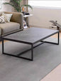 2 In 1 Coffee Table Home Living Furniture Set Iron Legs